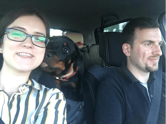 Efes Haus Of Rottweiler Türkiye