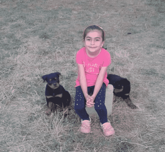 Absolit ve Boss Haus Of Rottweiler Türkiye