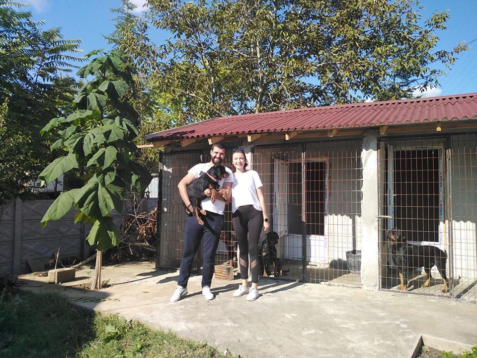 Asi Haus Of Rottweiler Türkiye