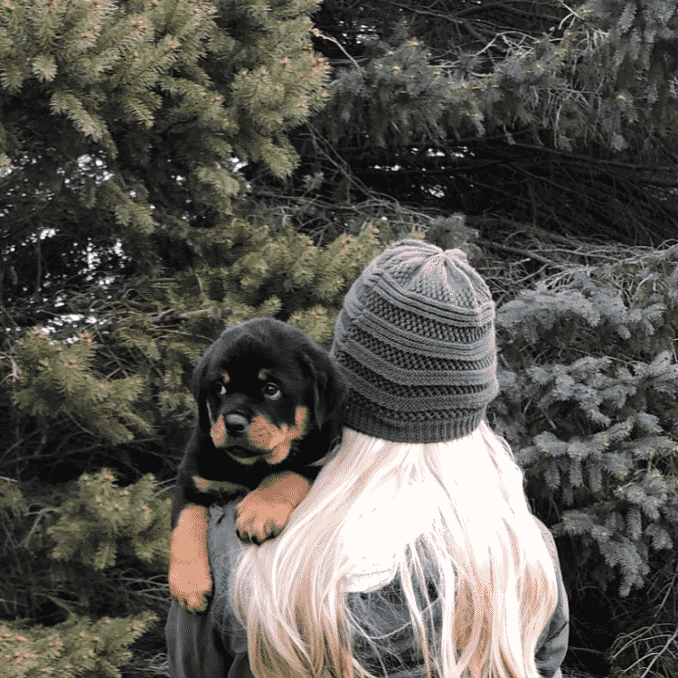 Rottweiler Yavrusu için veteriner seçimi