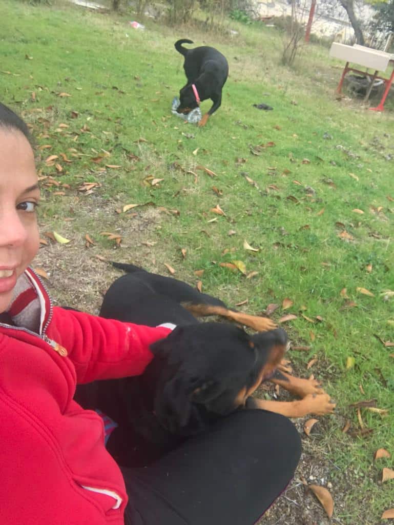 Zeyna ve Vega Rottweiler Türkiye Ailemizin evlatları